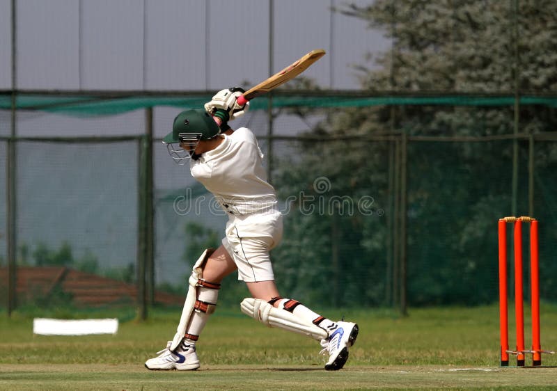 cricket photos