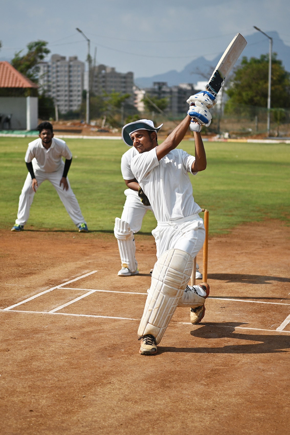 cricket picture