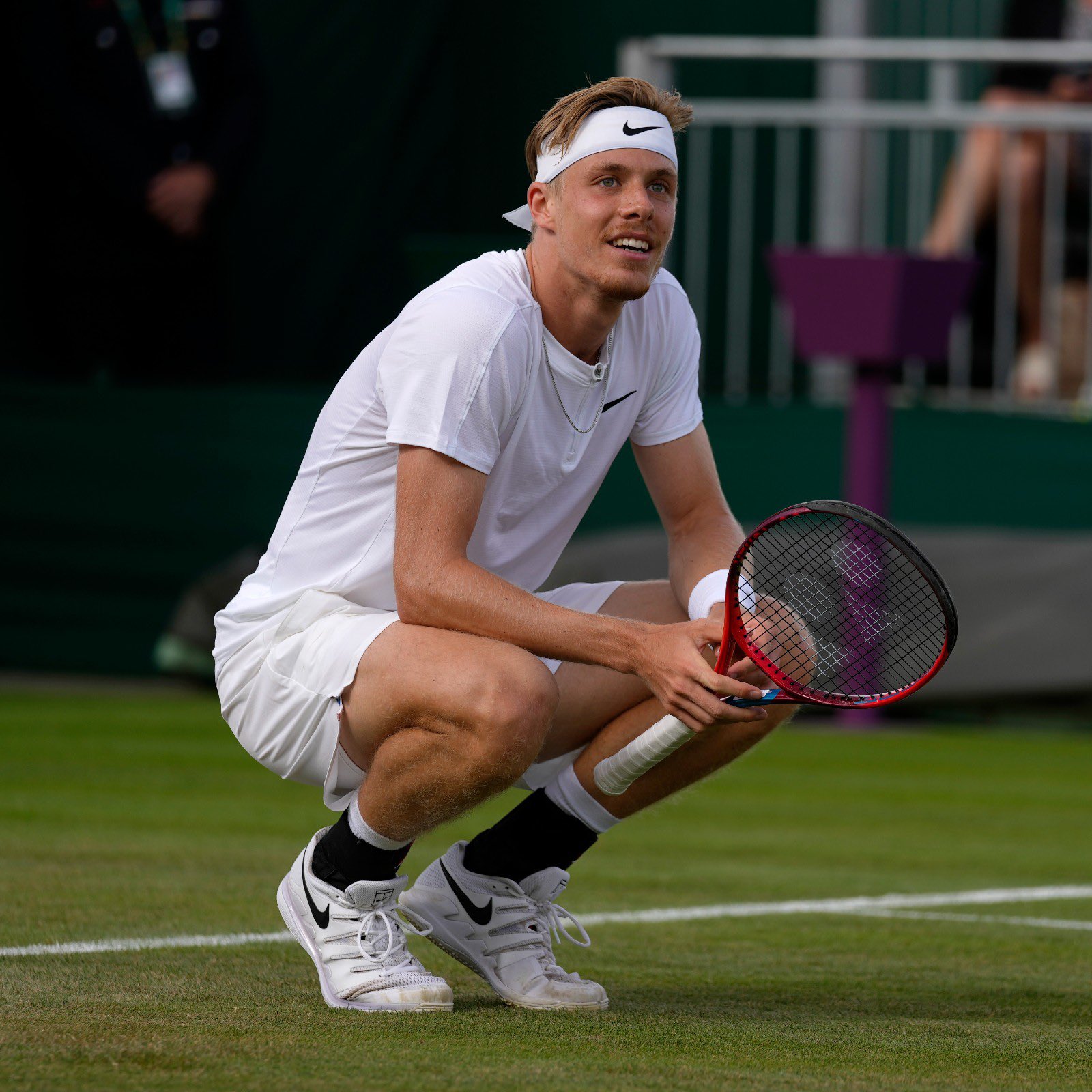 d shapovalov 0010