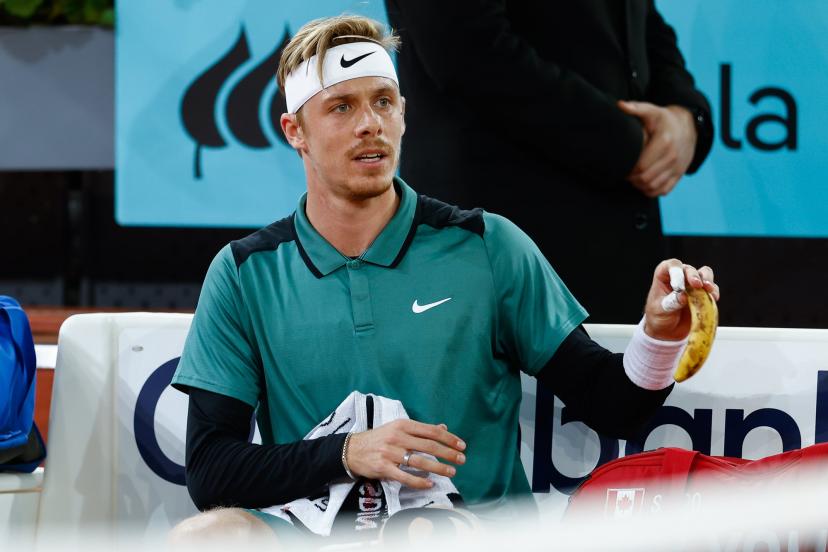 d shapovalov 0034