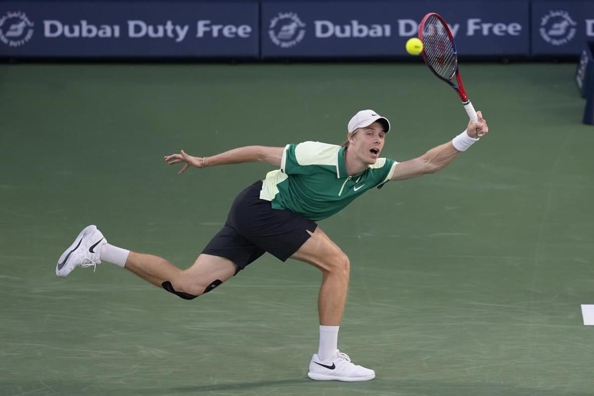 d shapovalov 0040