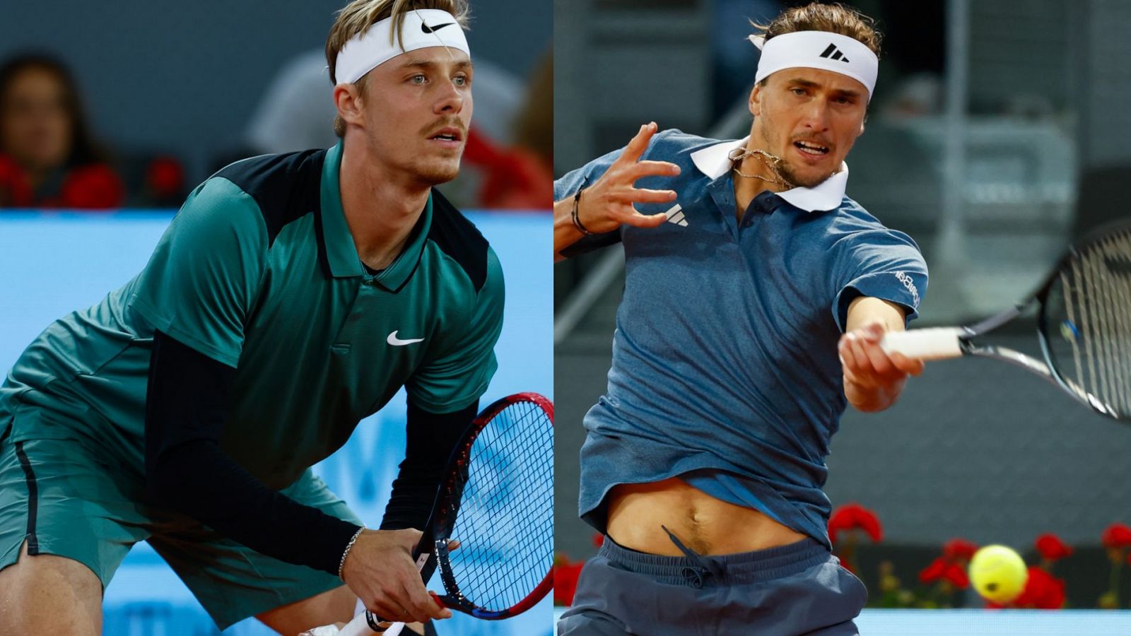 d shapovalov 0042