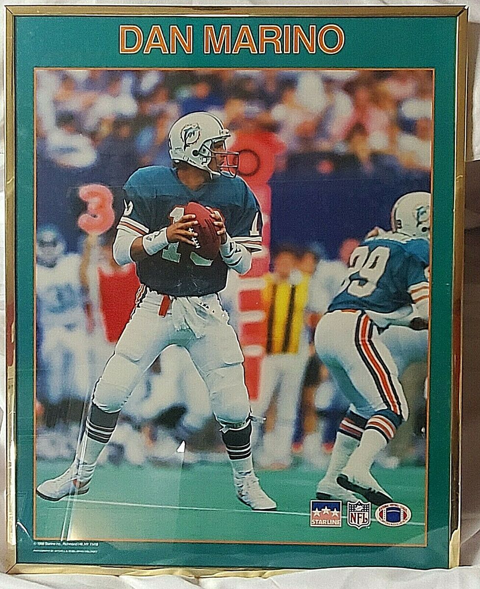 dan marino poster 0016