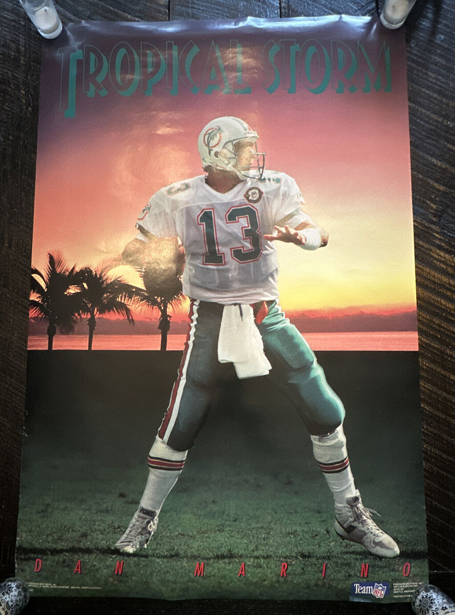 dan marino poster 0041