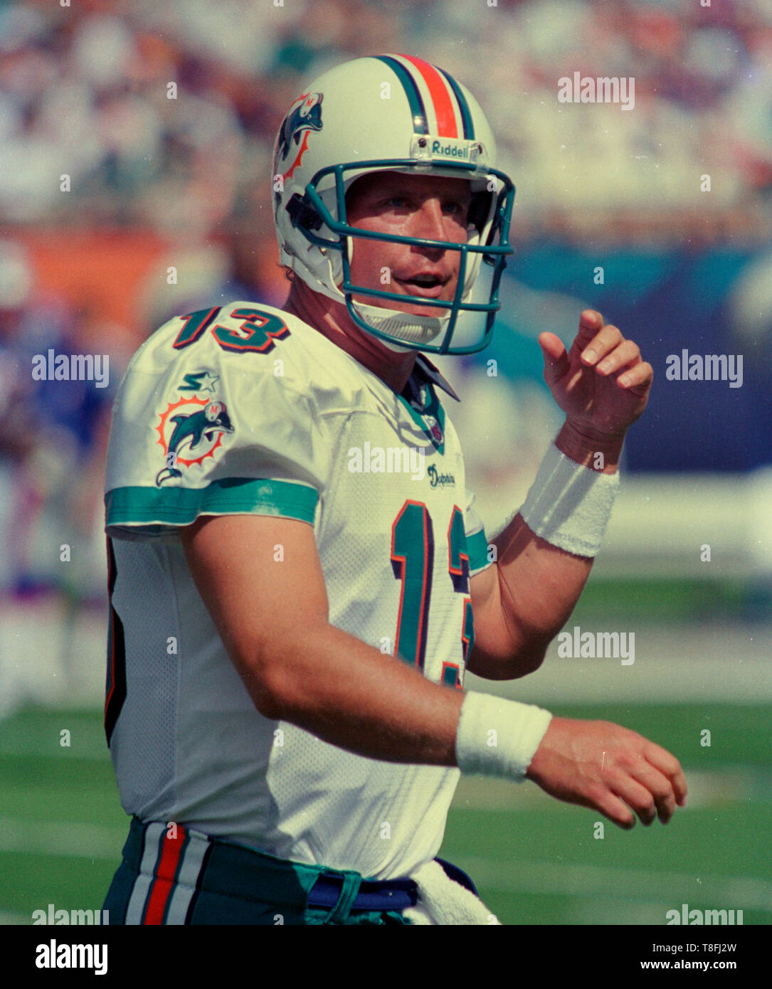 dan marino wallpaper 0013