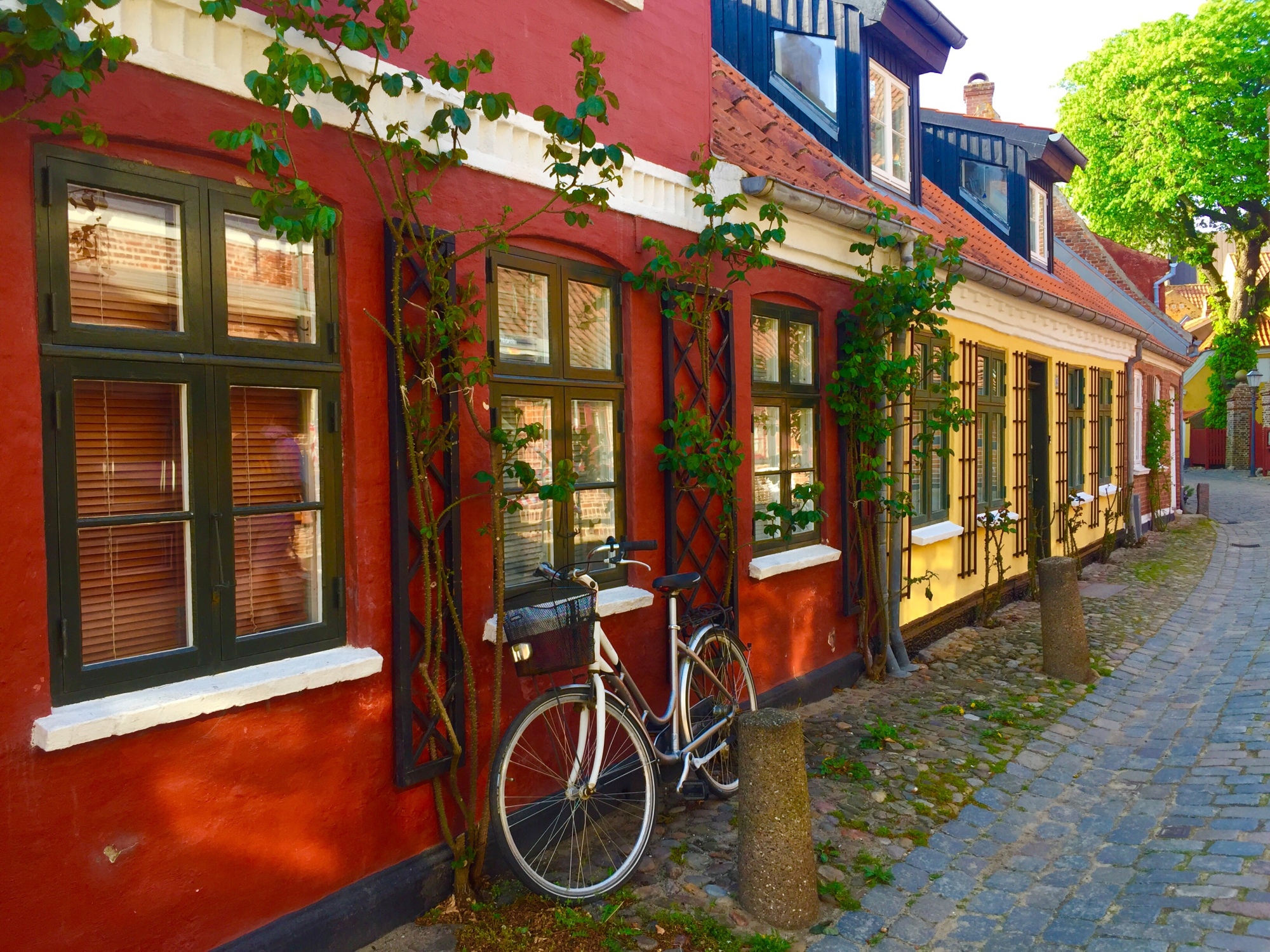 danmark time 0011