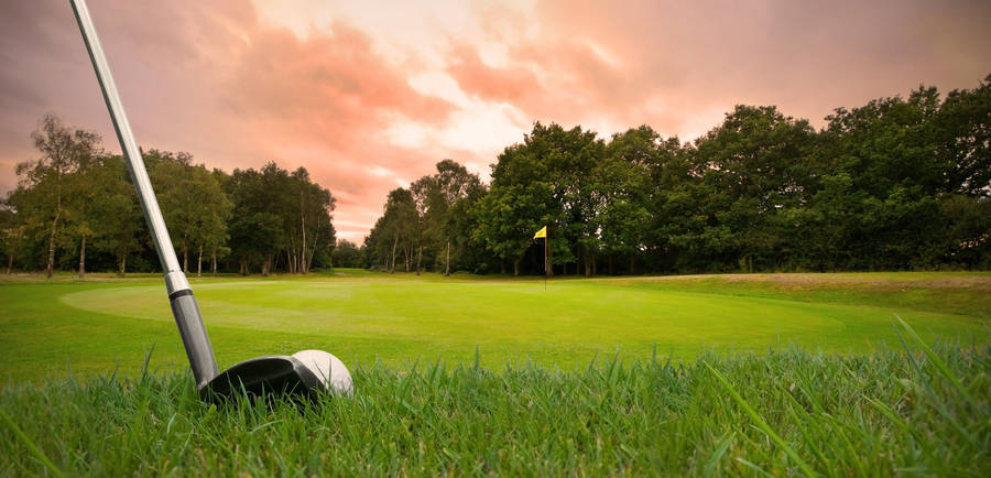 Dark golf course backgrounds 0019