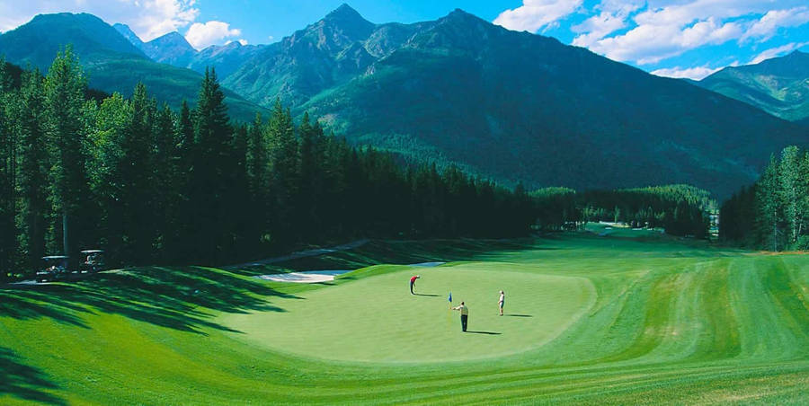 Dark golf course backgrounds 0021