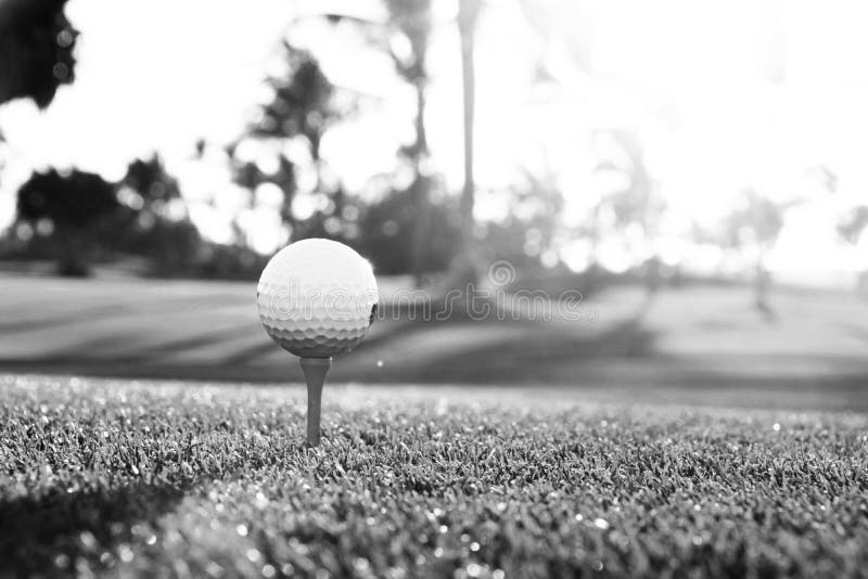 Dark golf course backgrounds 0024