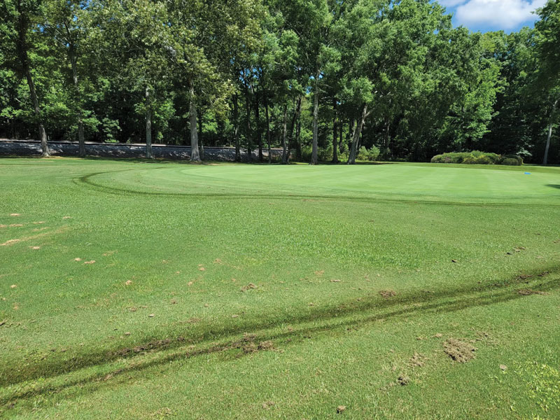 Dark golf course backgrounds 0031