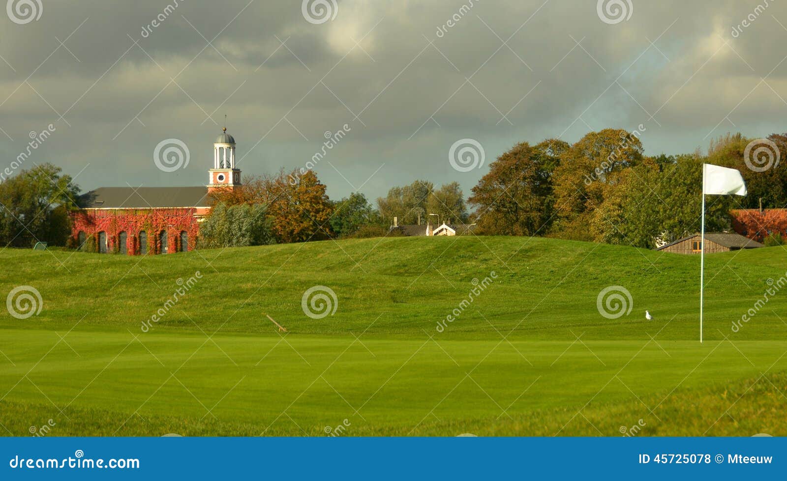 Dark golf course backgrounds 0035