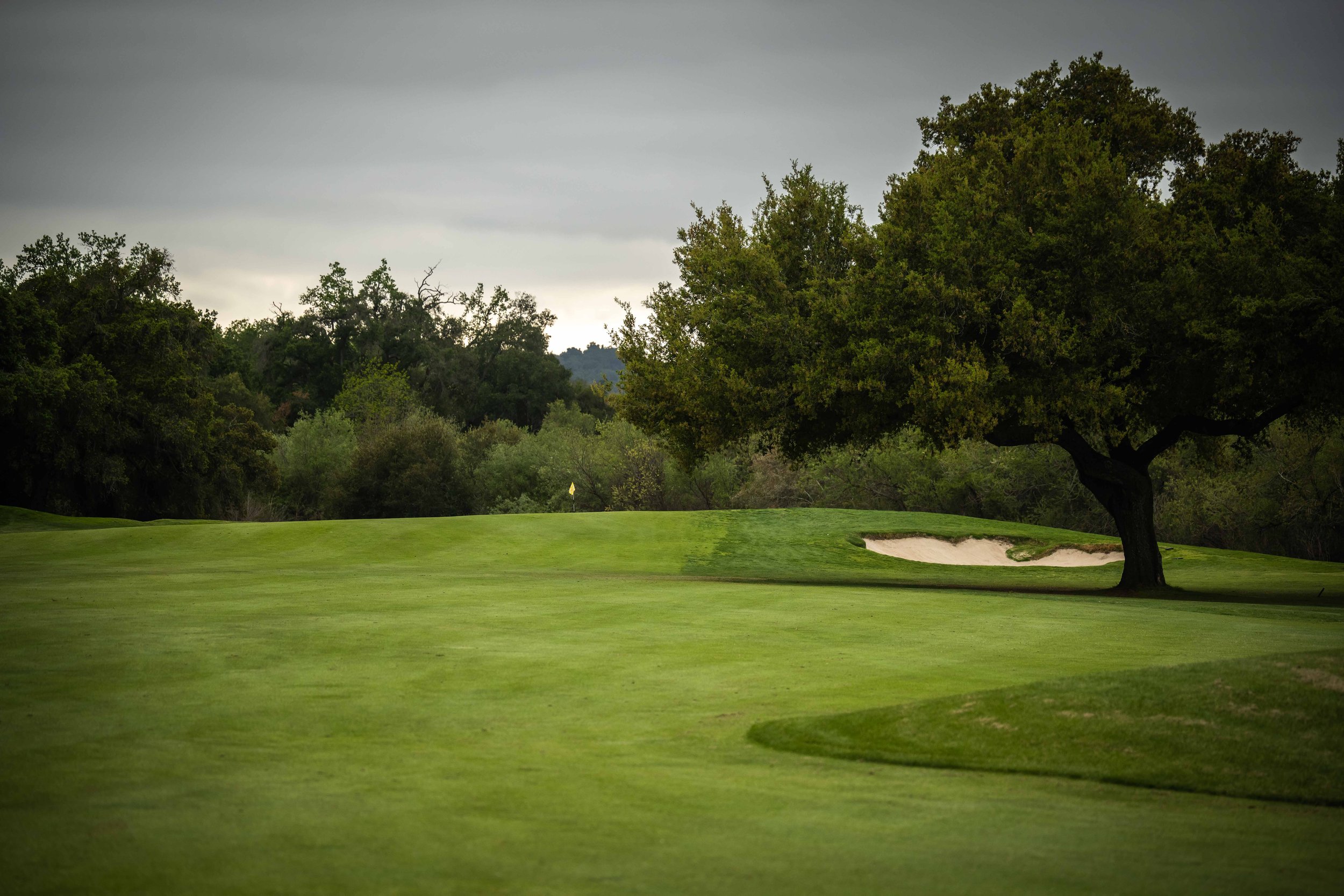 Dark golf course backgrounds 0039