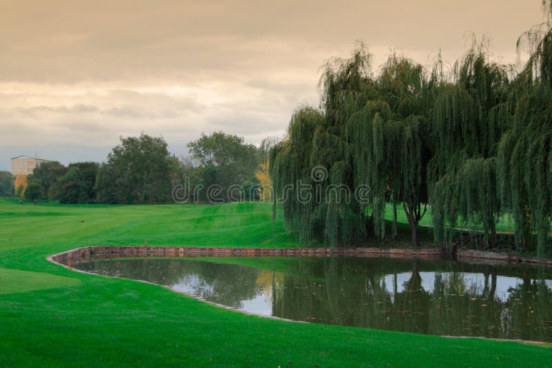 dark golf course image 0049
