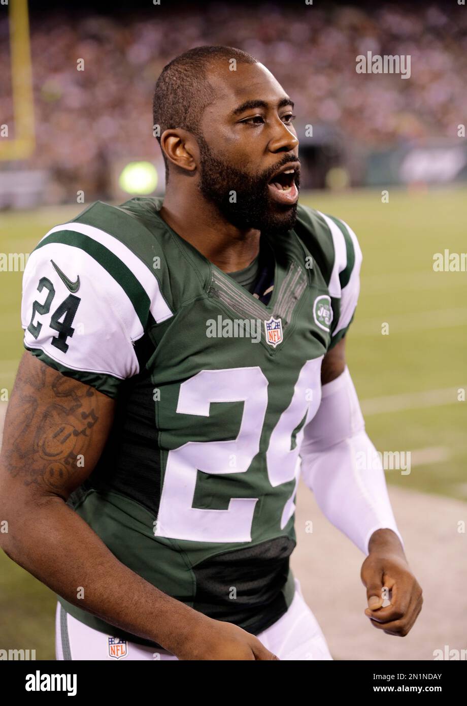 darrelle revis wallpaper 0014