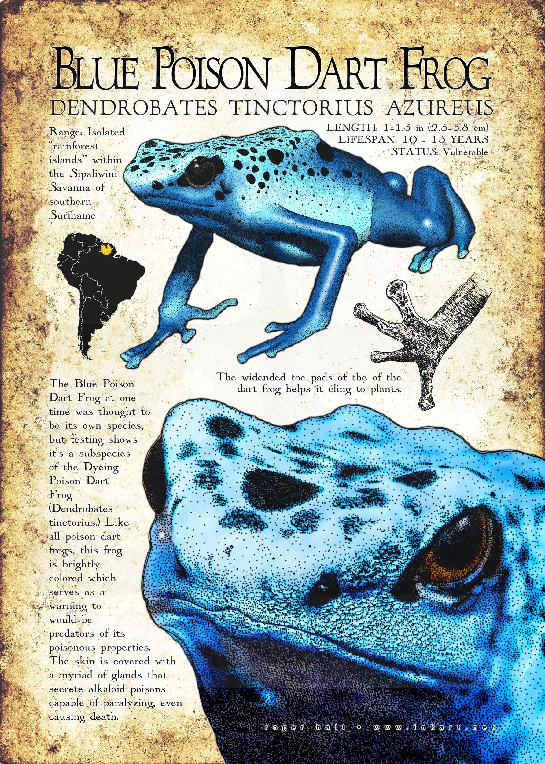 dart poster 0036