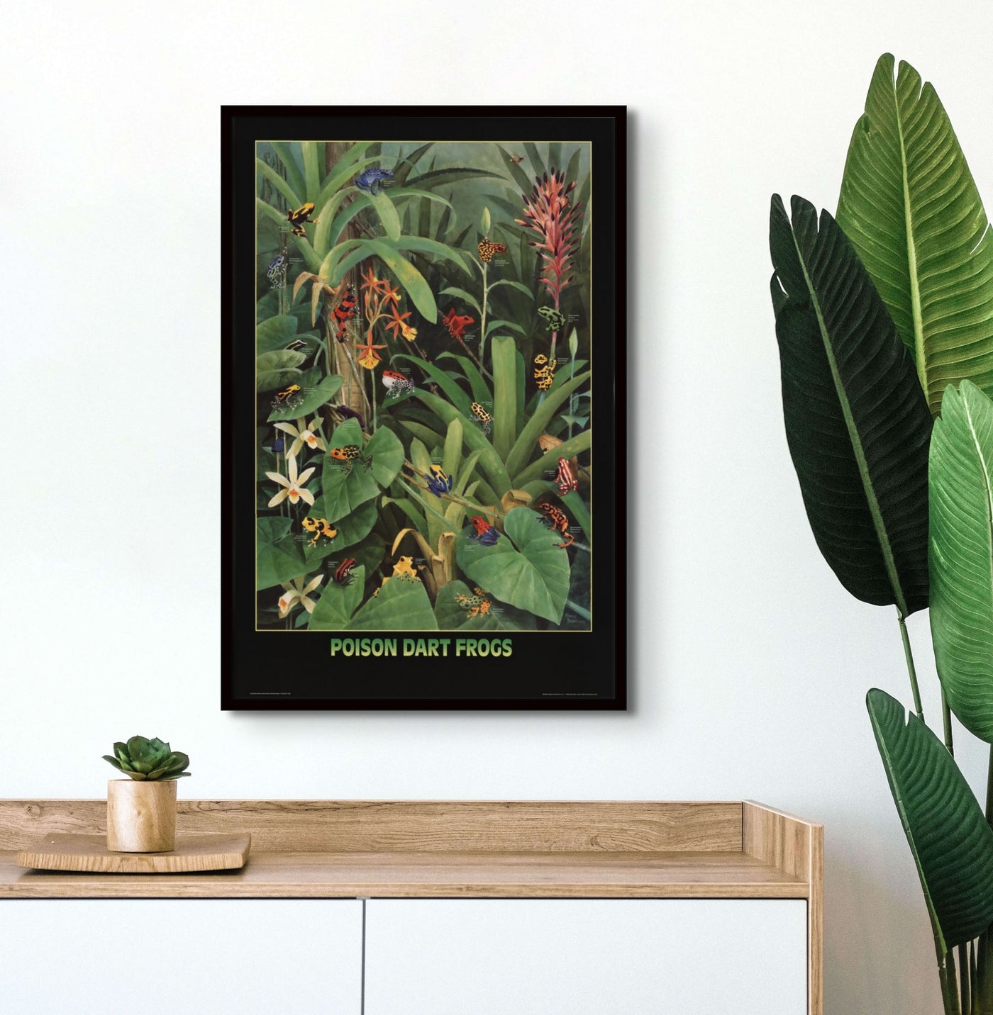 dart poster 0048
