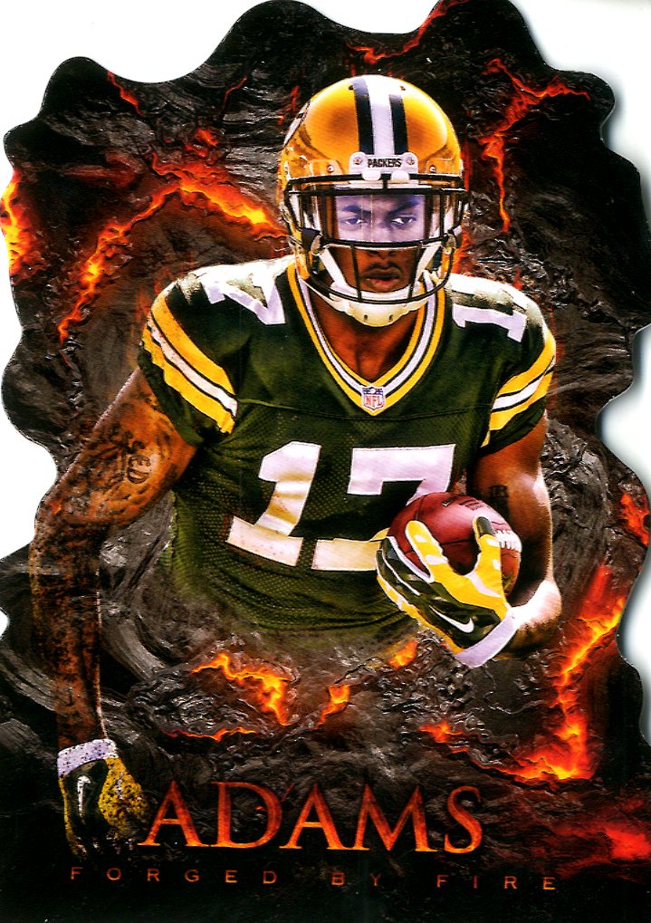 davante adams 2014 0015