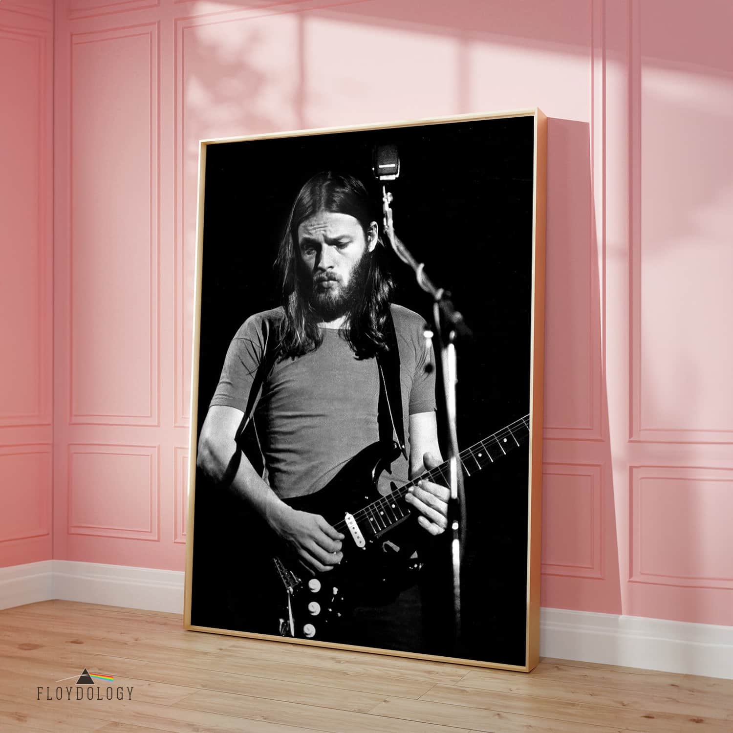 David Gilmour fan art