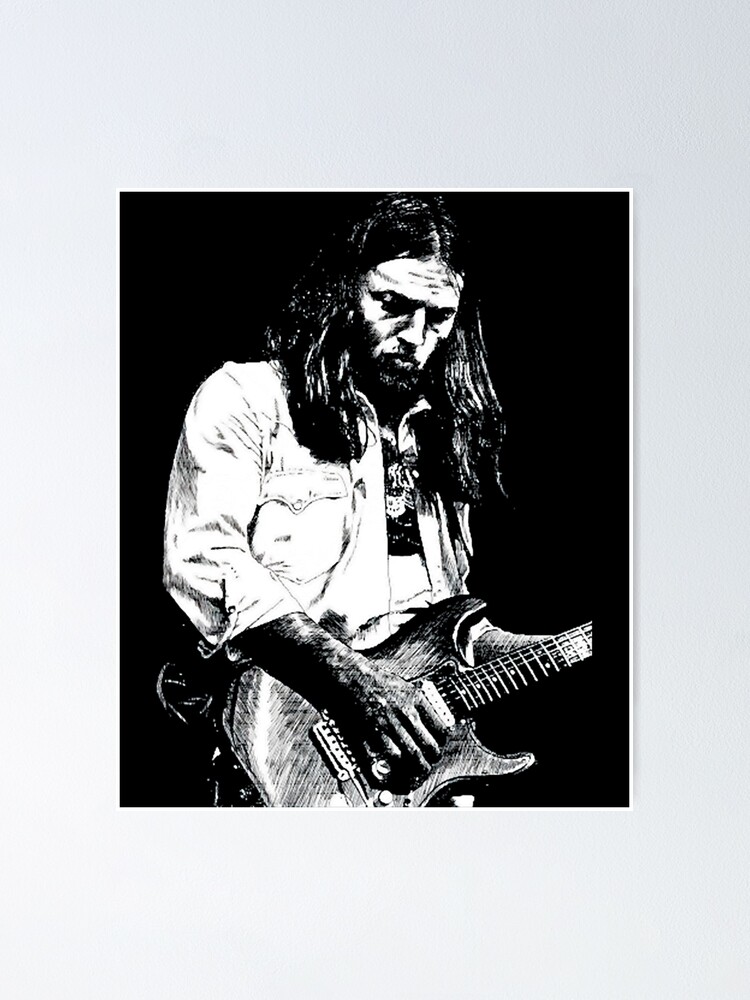 david gilmour poster 0022