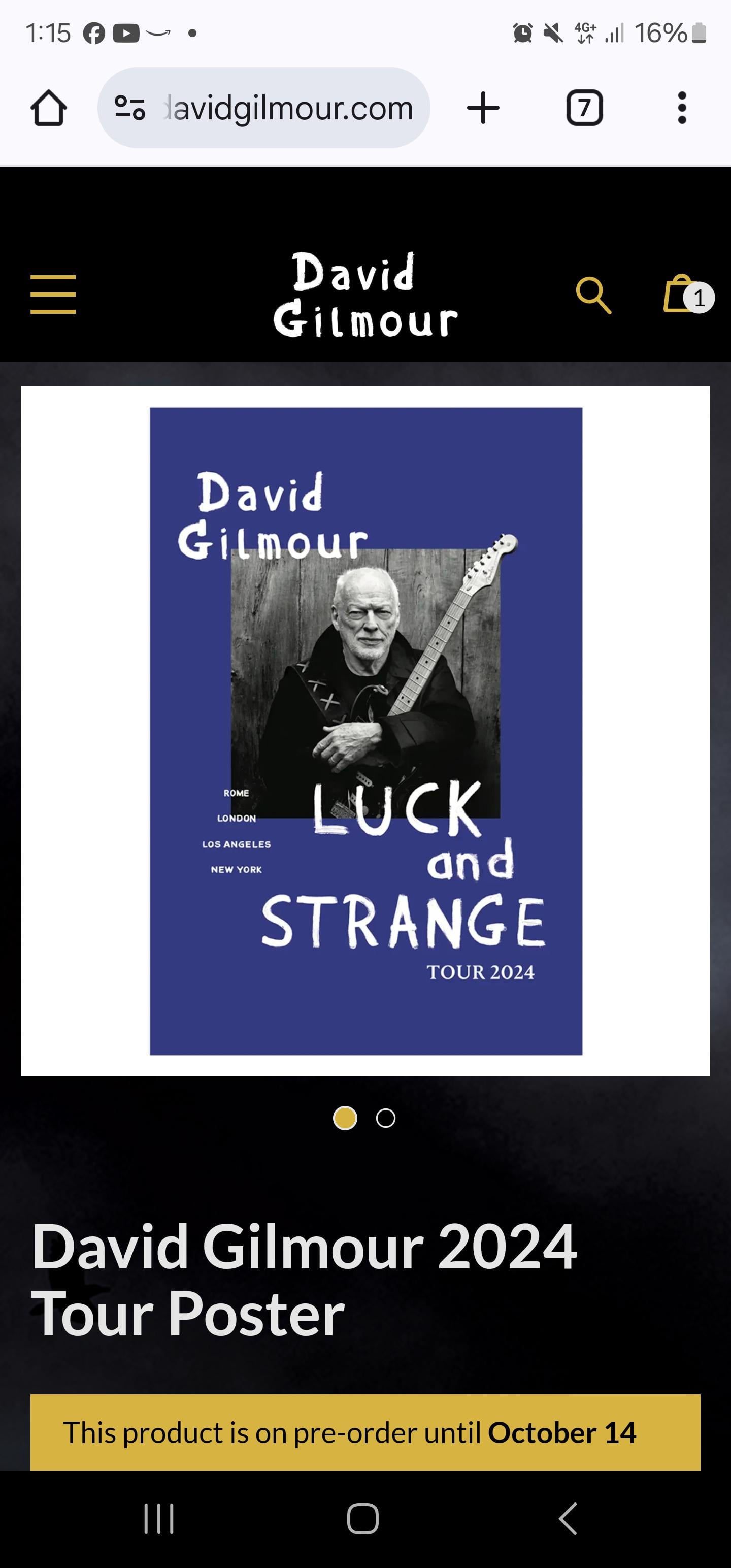 david gilmour poster 0049