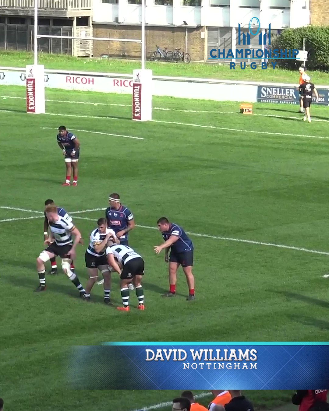 David Williams rugby news.