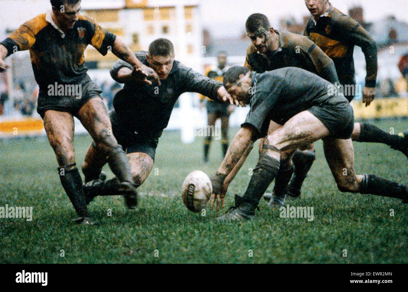 david williams rugby 0034