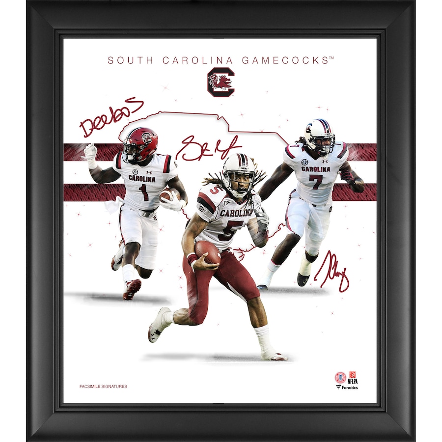 deebo samuel poster 0036