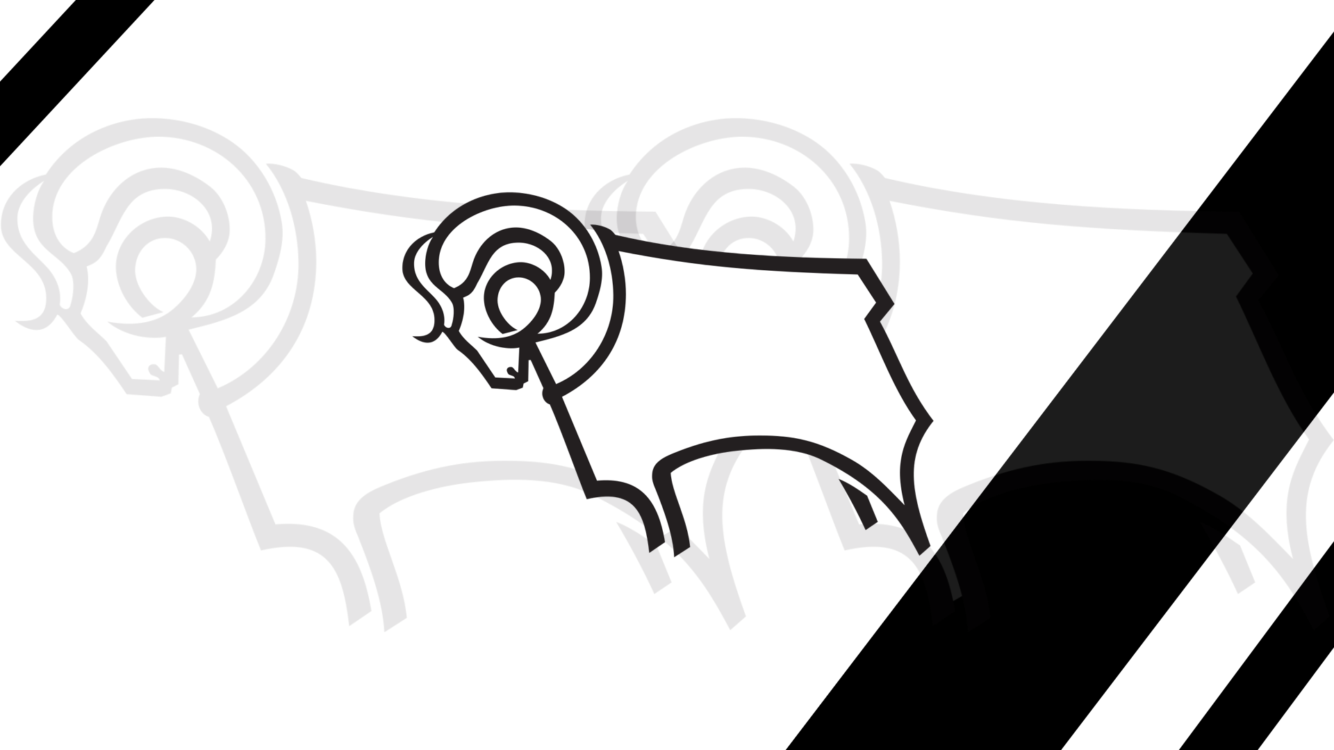 derby backgrounds 0026