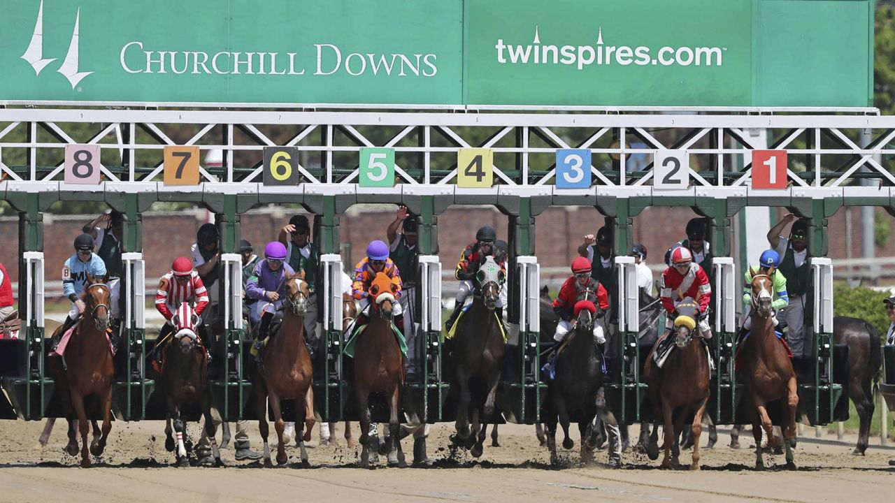 Derby starting gates
