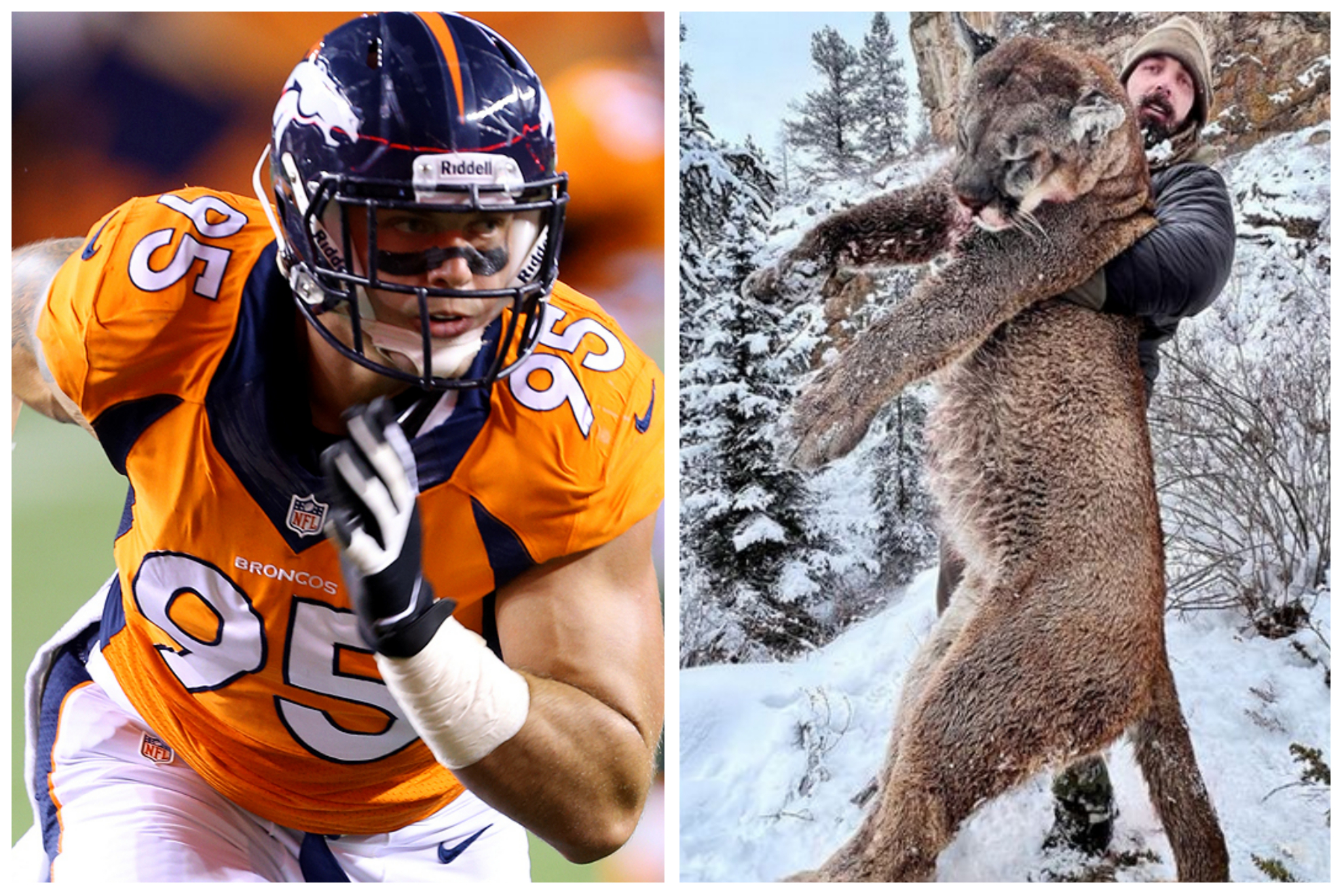 Derek Wolfe Super Bowl stats