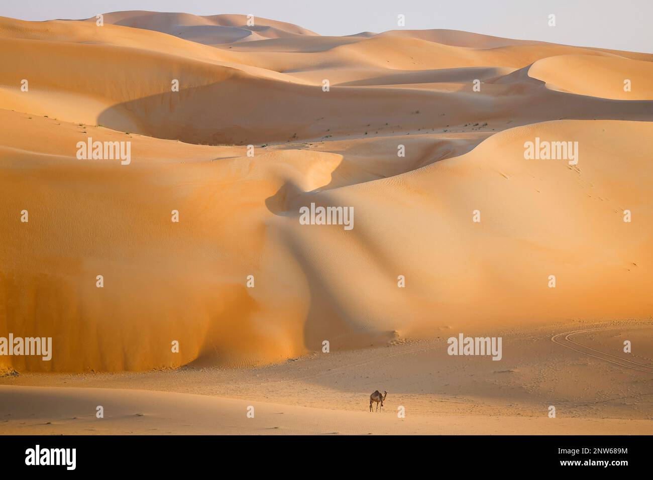 desert challenge 2023 0028