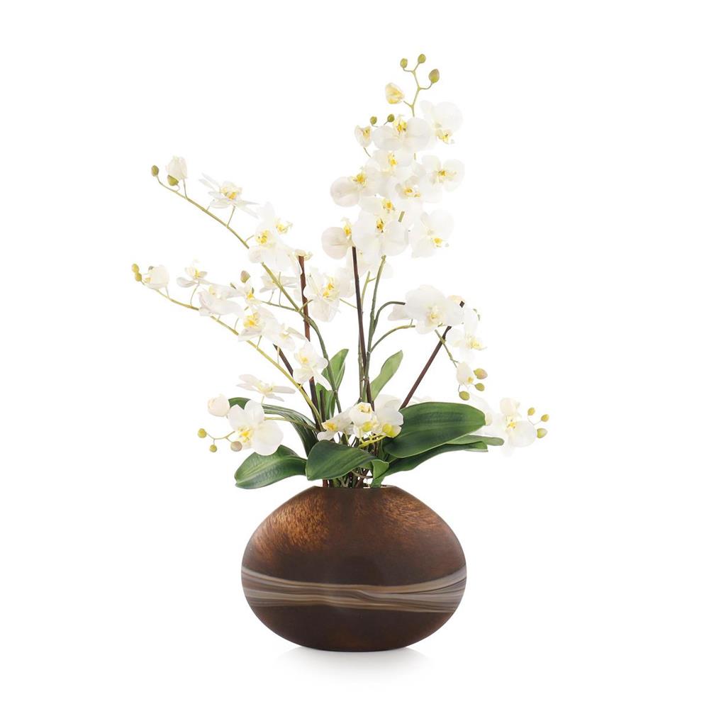 desert orchids 0013