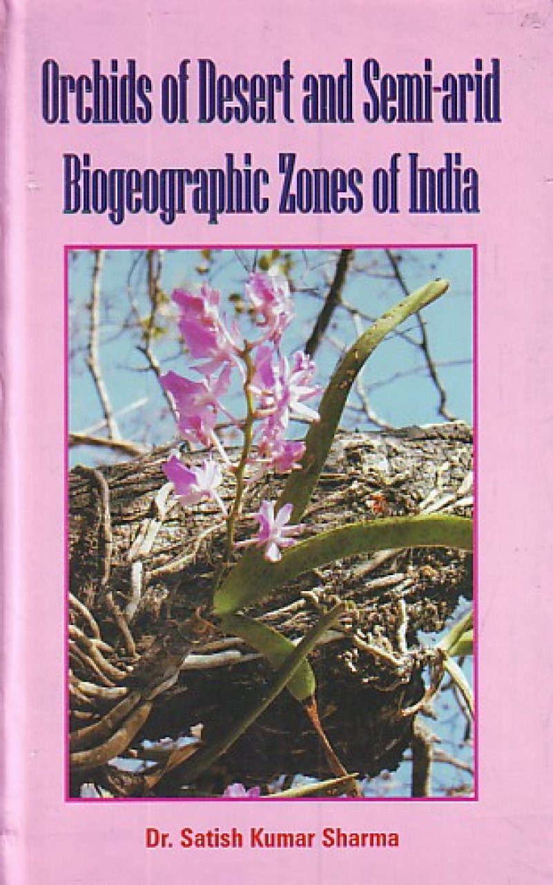 desert orchids 0016