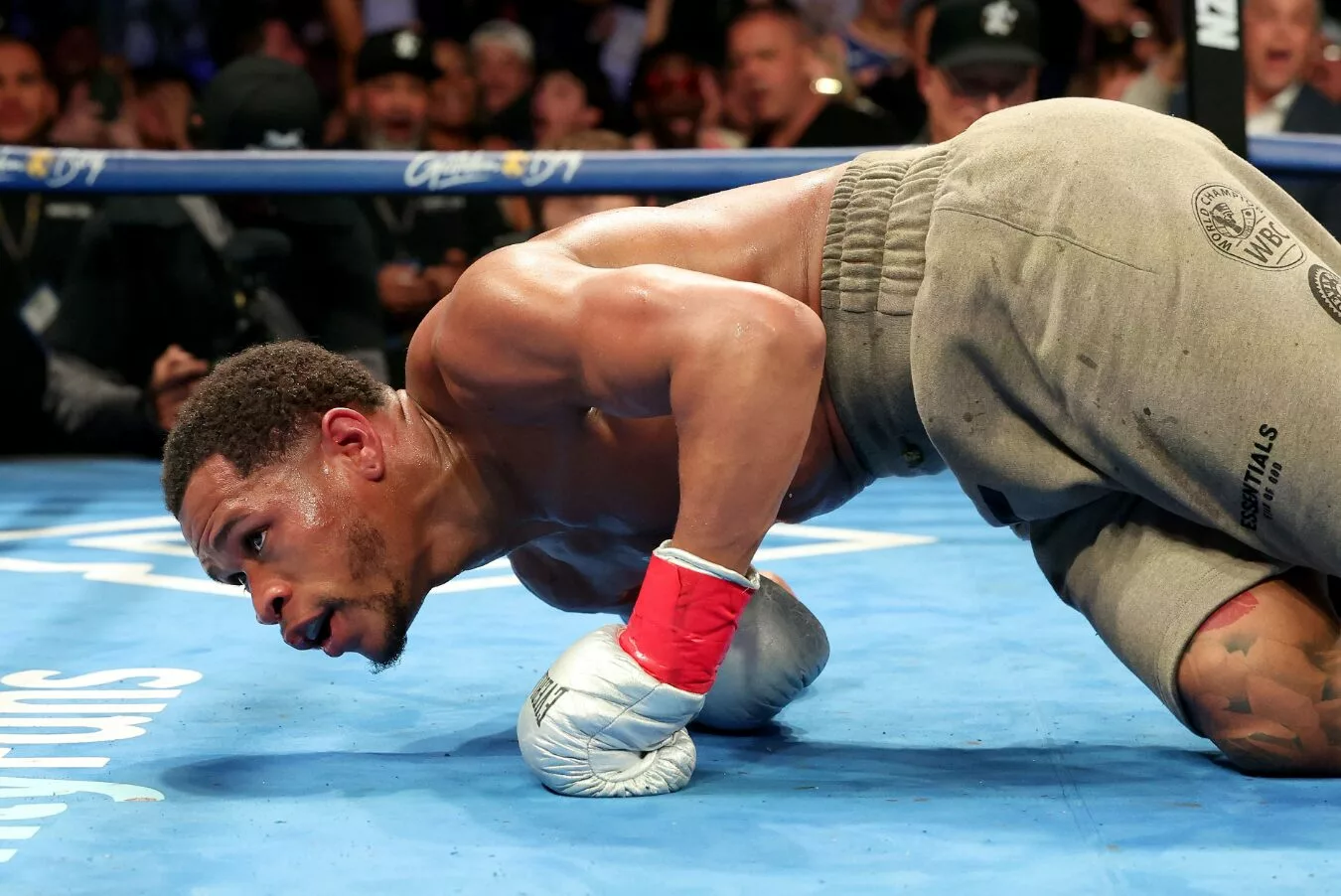 devin haney next fight 2022 0013