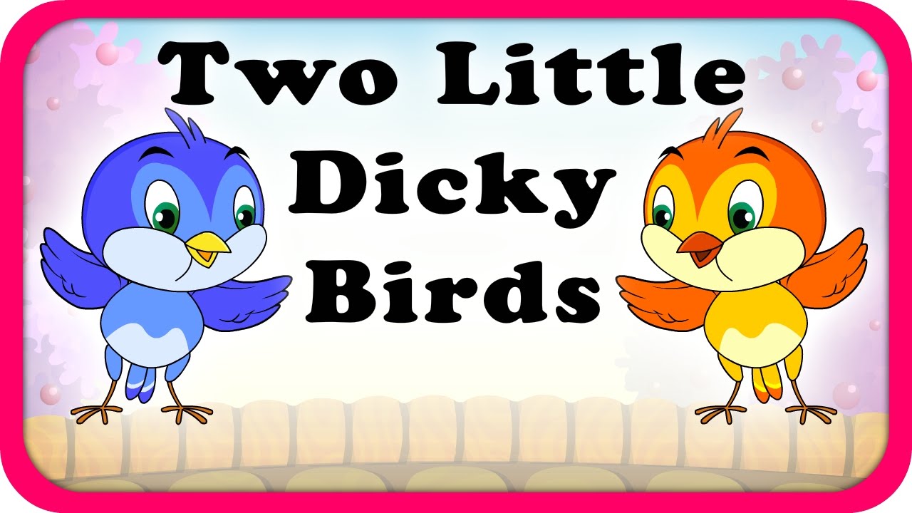 dickie bird behavior