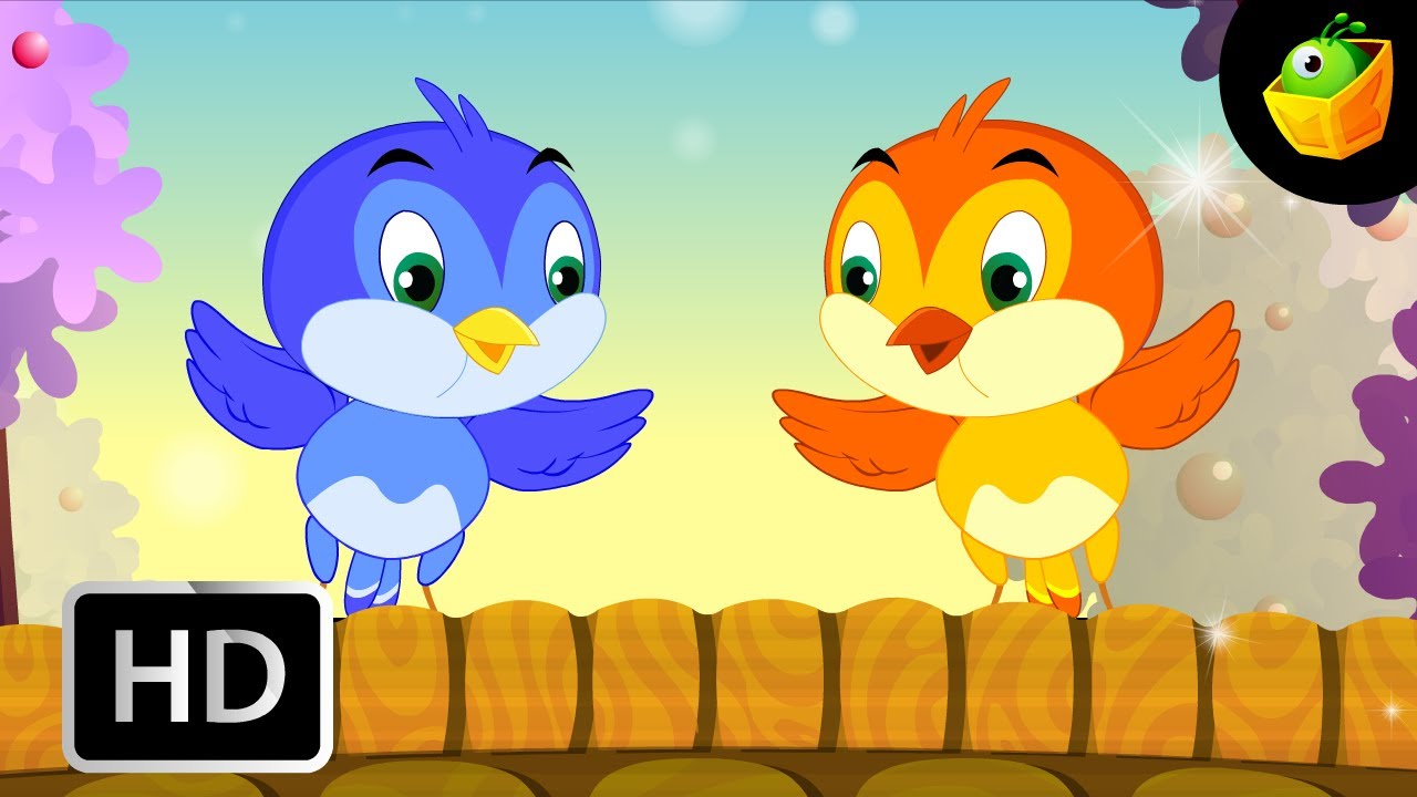 dickie bird breeding