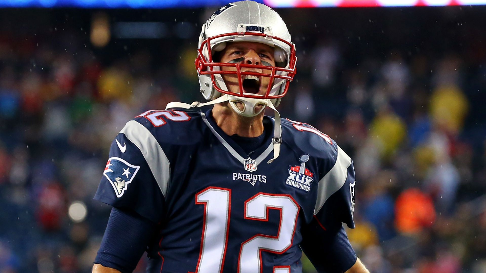 digital Brady images