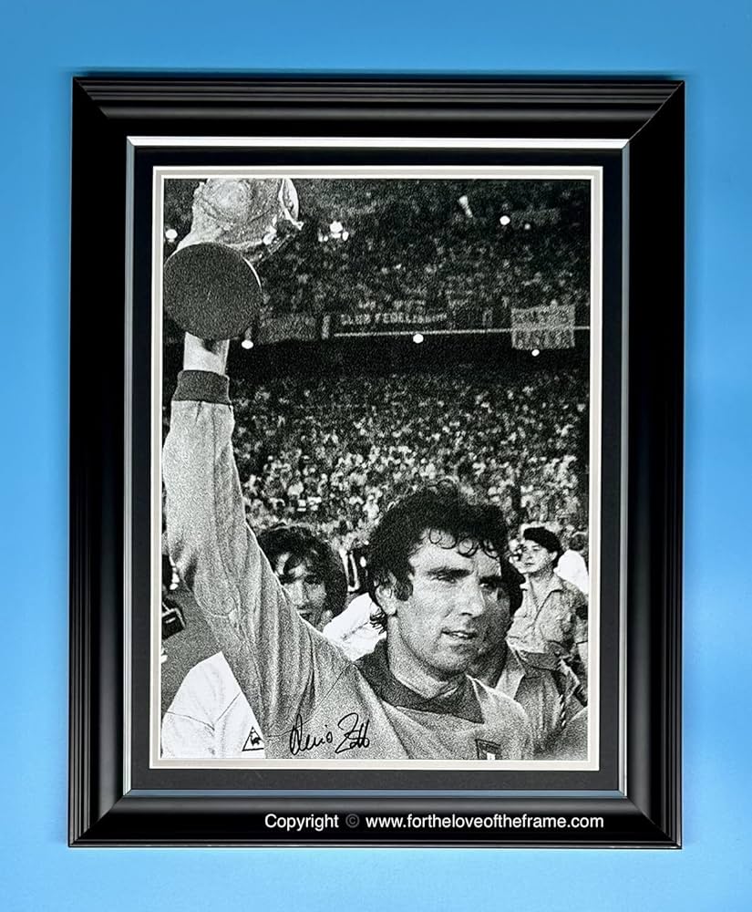 dino zoff world cup 0039