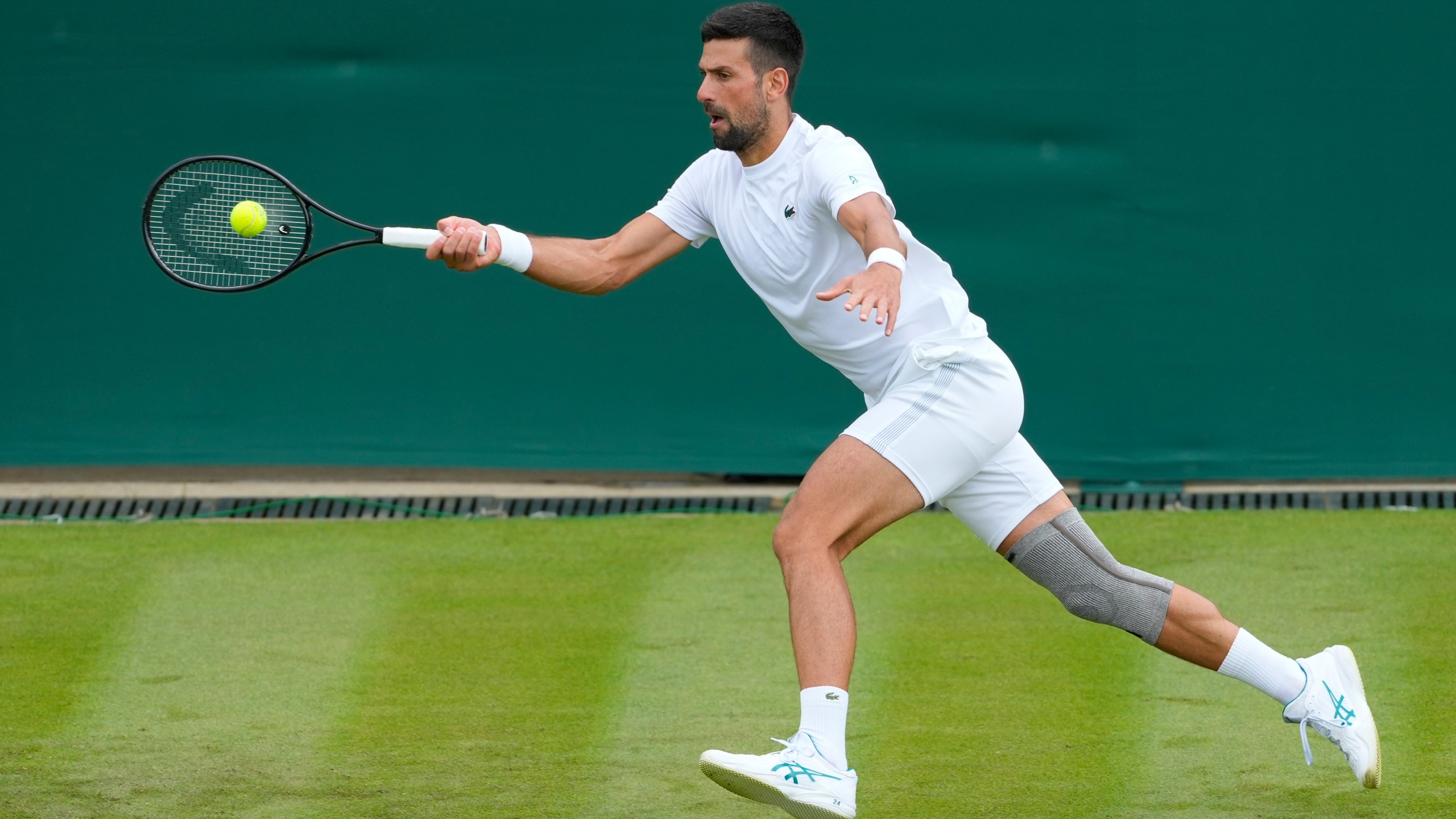 Djokovic fan interactions