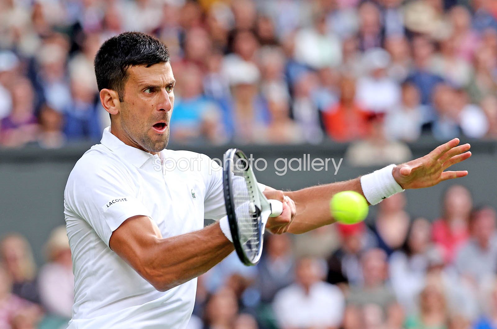 djokovic forehand 0048