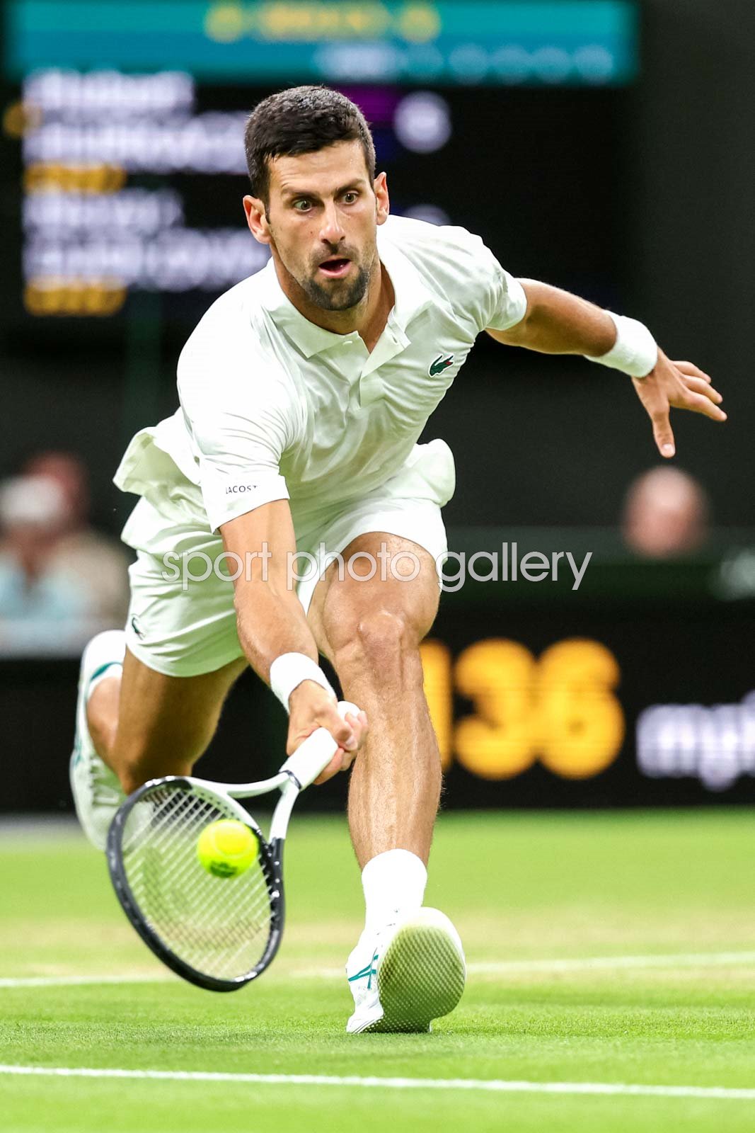 djokovic hurkacz wimbledon 0019
