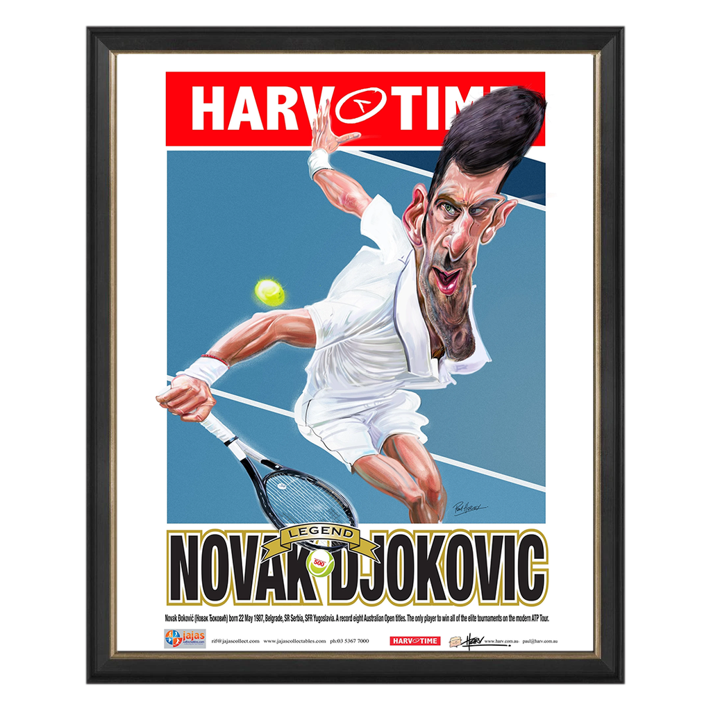 djokovic poster 0013