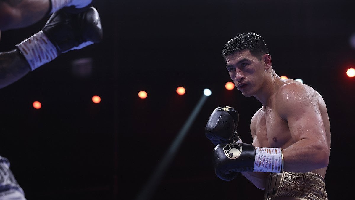 dmitry bivol wallpaper 0010