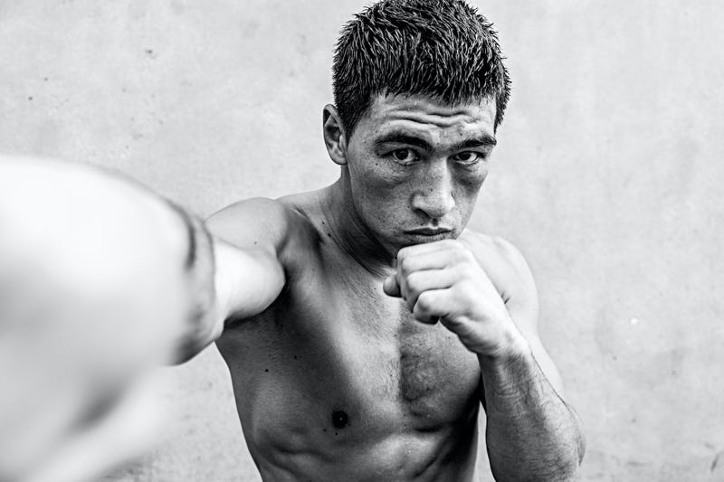 dmitry bivol wallpaper 0011
