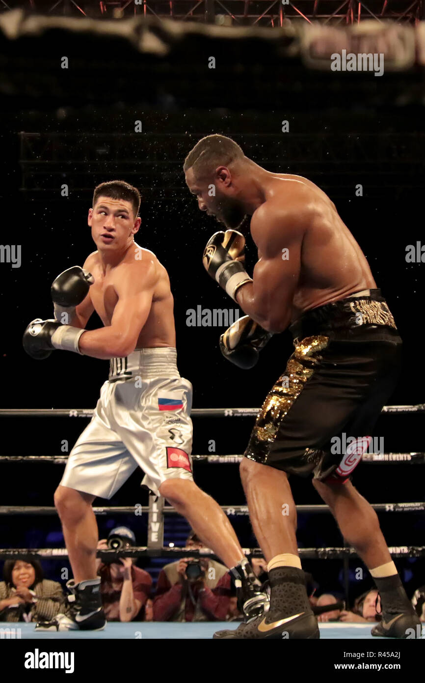 dmitry bivol wallpaper 0020