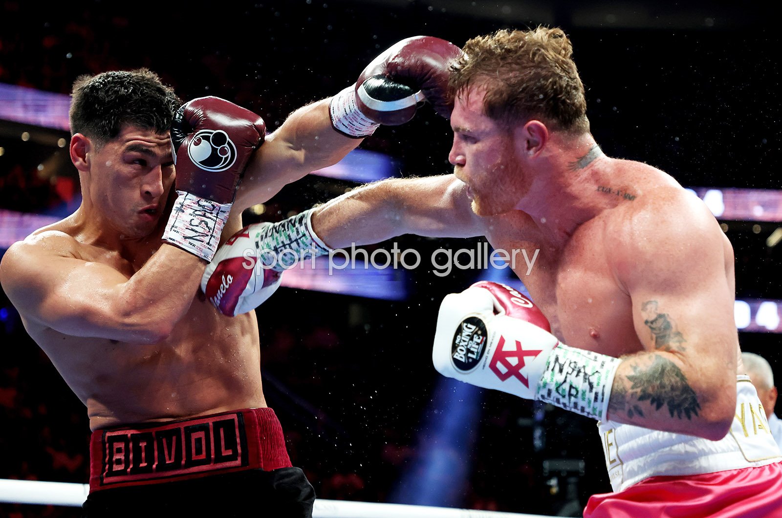 dmitry bivol wallpaper 0024