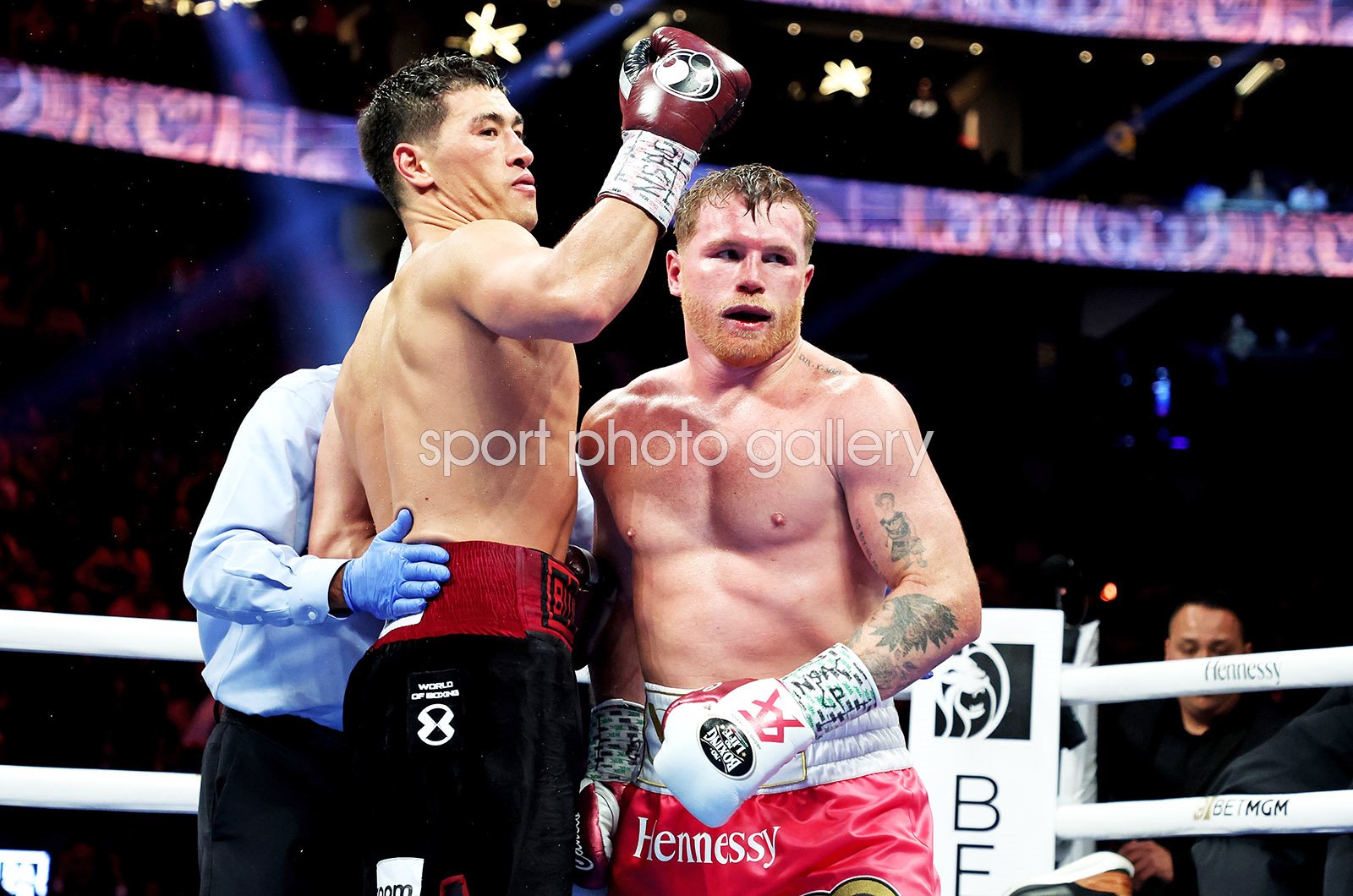 dmitry bivol wallpaper 0046