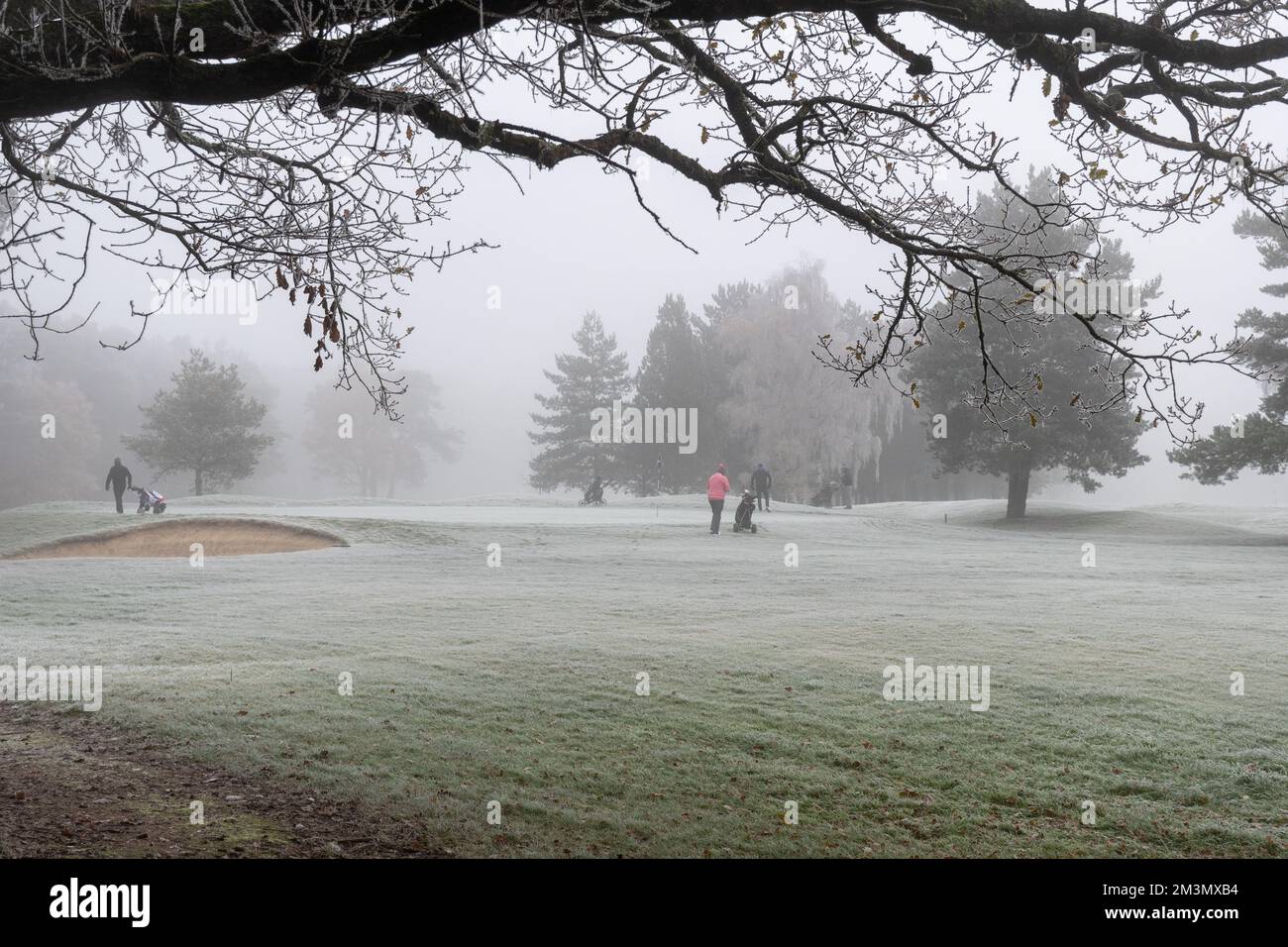 do people golf in the winter 0048