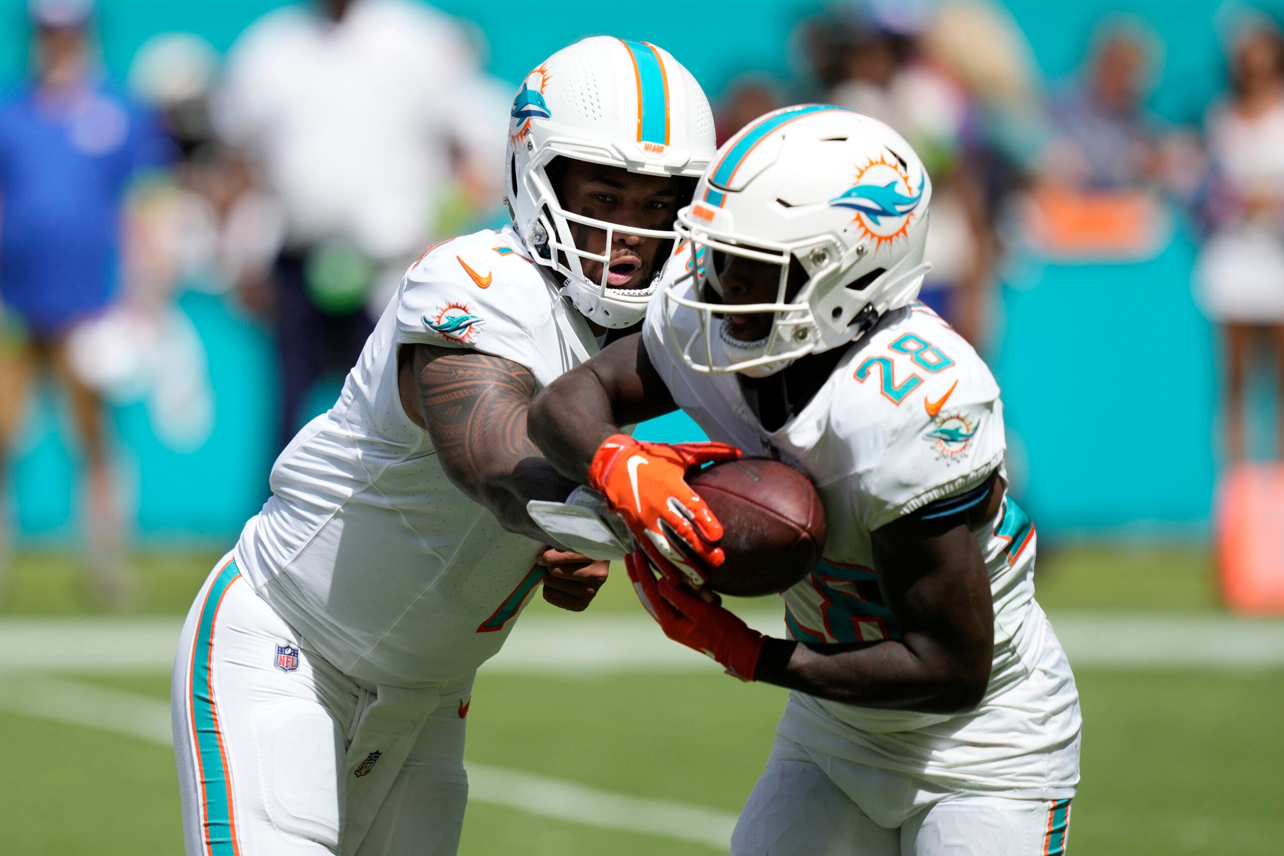 dolphins vs giants 0014