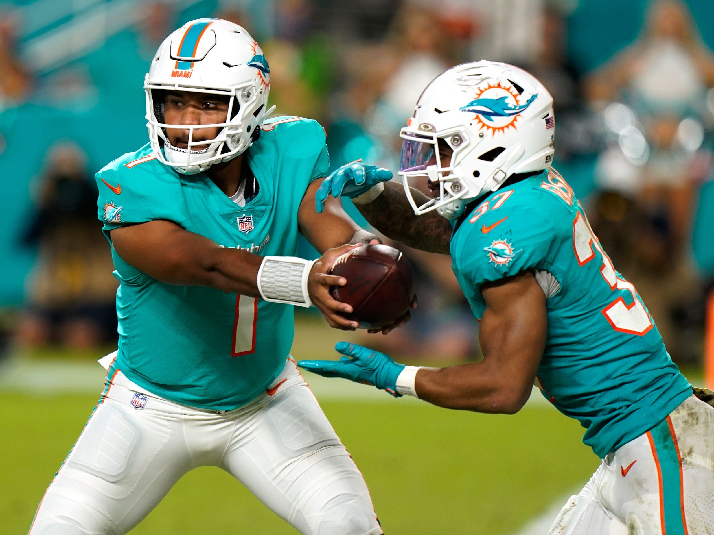 dolphins vs patriots 2019 0038